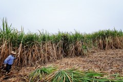 IMG_20200320_091326_746