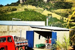 IMG_20200707_075225_161