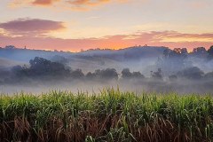 Amanhecer
