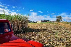 IMG_20201028_081848_960