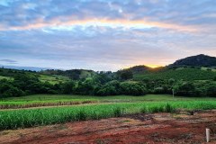 IMG_20201031_052831_301