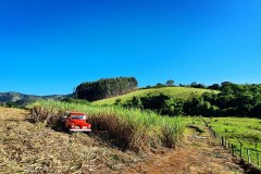 IMG_20201109_075712_554