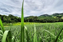 IMG_20210110_095013_258
