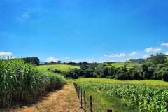 IMG_20210403_144506_719